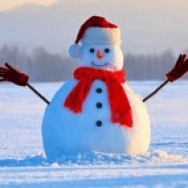 Ajude os noivos a fazerem um boneco de neve